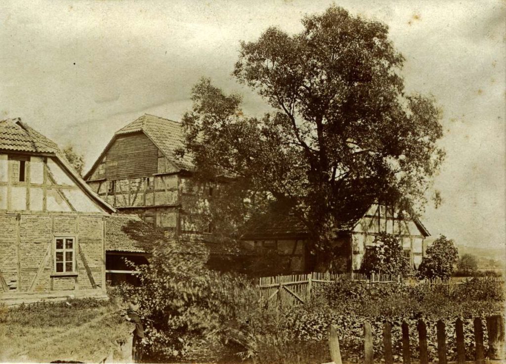 Gutshof Wassermühle mit Baum